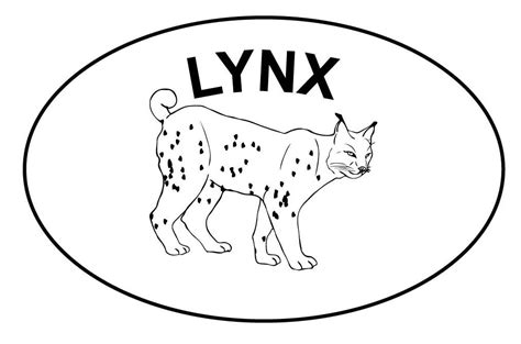 Lynx