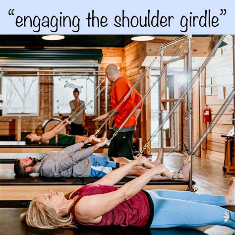 Switchback - The shoulder girdle refers to the bony structures of the