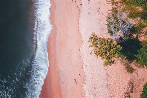 Drone Shot of a Beach · Free Stock Photo