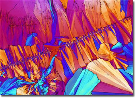 Molecular Expressions Microscopy Primer: Specialized Microscopy Techniques - Polarized Light ...