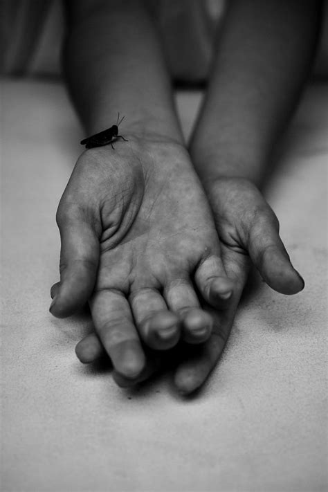 Дети, руки, утро, кузнечик in 2020 | Hands, Holding hands