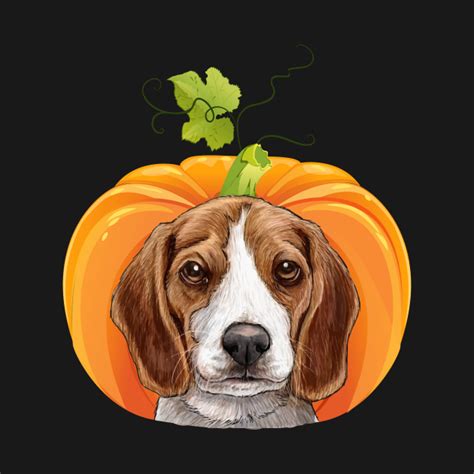 Beagle Pumpkin Halloween Costume - Beagle Pumpkin Halloween - T-Shirt ...