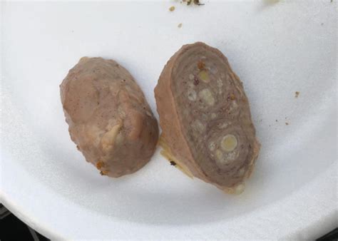 What is a lash egg? | Hello Homestead