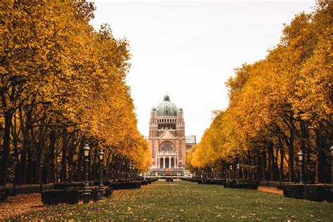 Autumn in Brussels - Travel Tomorrow