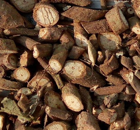 hemidesmus indicus  kg  kilogram  dehradun id