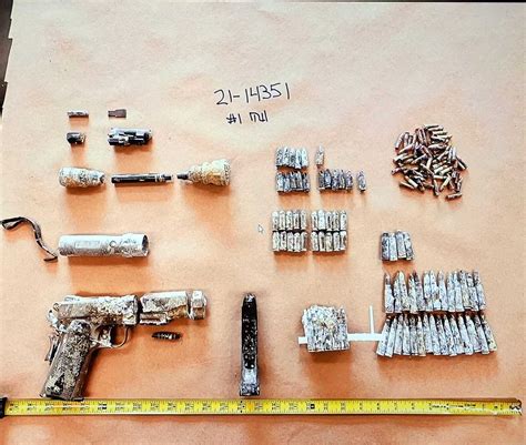 horror  evidence pics  murder   family members  dead