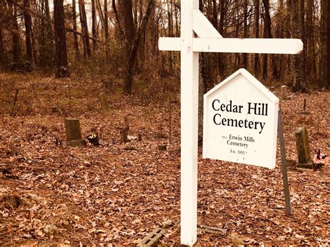 Sustainable burial options will soon arrive at palm mortuary 22