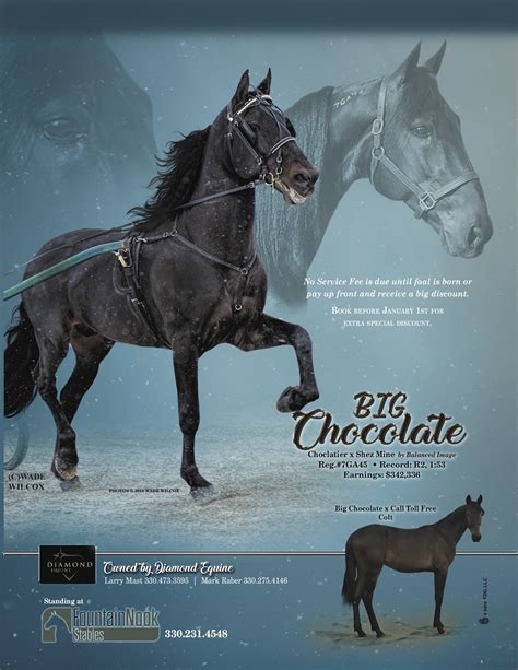 Big Chocolate