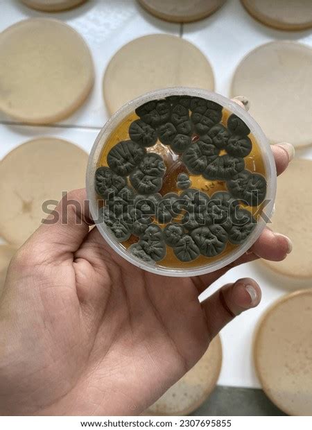 65 Sda Display Images, Stock Photos, 3D objects, & Vectors | Shutterstock