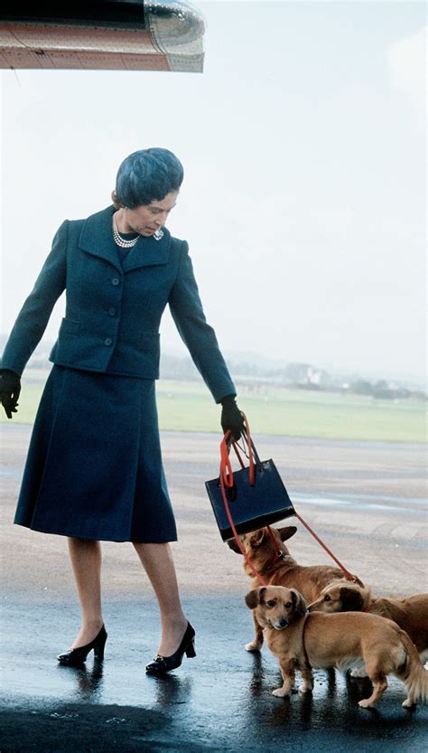 A Brief History Of The Queen’s Corgis