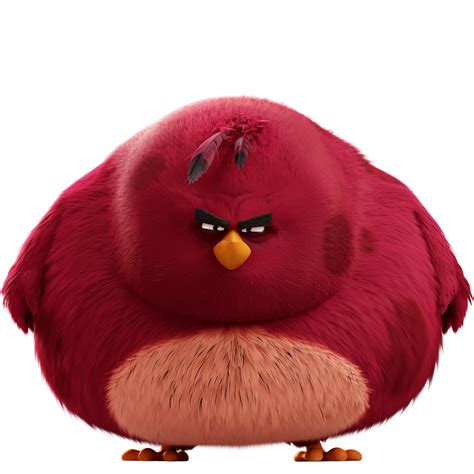 Ruby | Angry Birds