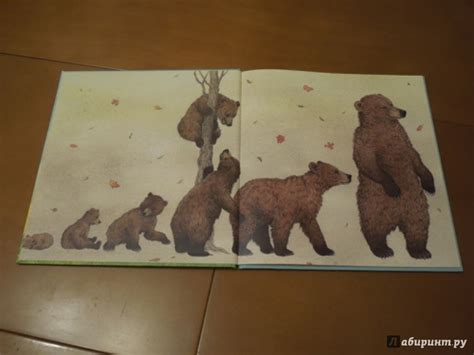 Книга: Животные в природе. Медведь - Ренне. Купить книгу, читать ...