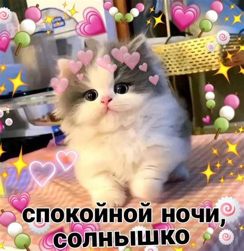 Спокойной ночи | Спокойной ночи, Ночь, Кошачьи цитаты
