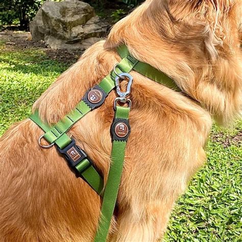 Coleira E Guia Para Cachorro - Coleira para Cachorro Grande Porte Reforçada e Guia 1 Metro