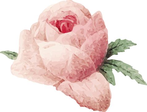 flower background aesthetic 1