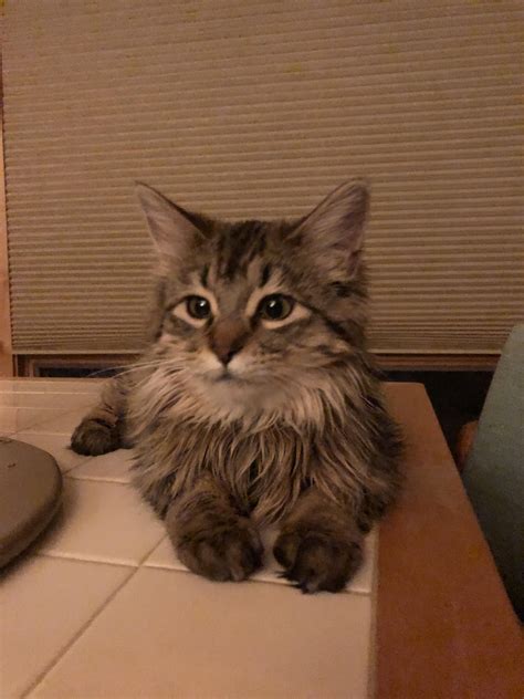 261 best r/allergies images on Pholder | With dust allergies, you get