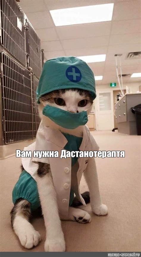 Создать мем "кошка в медицинской маске, кот медик, кот в медицинской ...