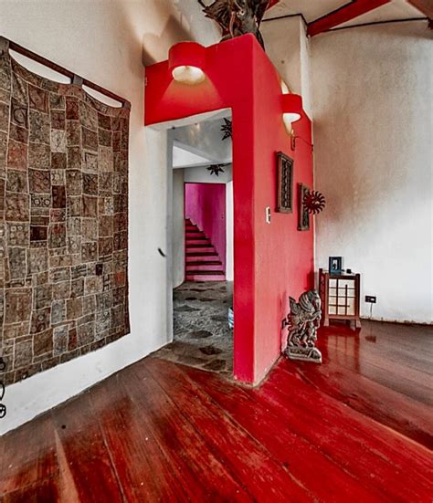 Hidden Gem of the Jungle