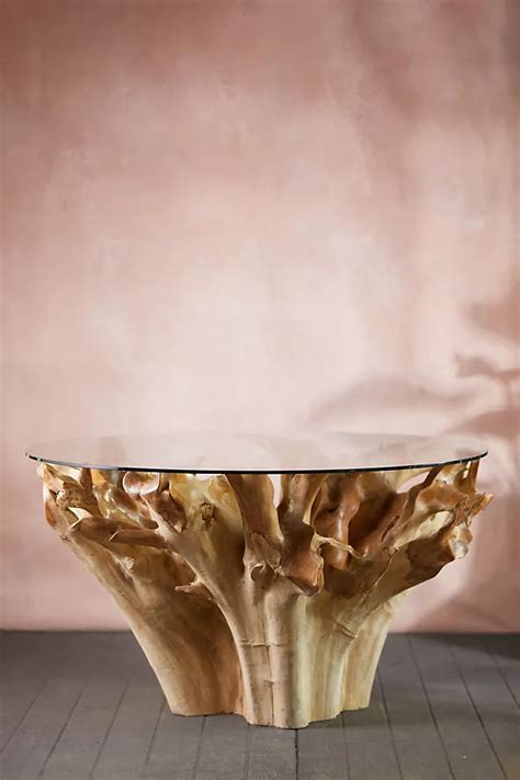 glass top teak root  dining table terrain