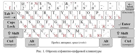 Проект сайта по информатике