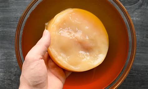 How to Store a Scoby? - Top Food Storage Reviews