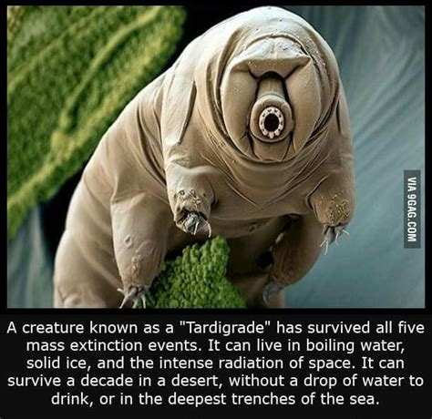 Am I the only one who looks at his face differently? - 9GAG