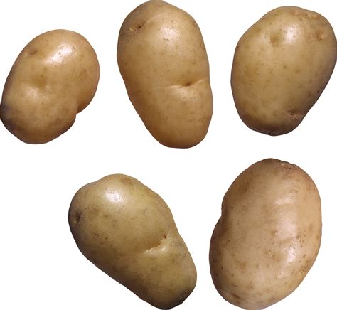 Картошка PNG фото