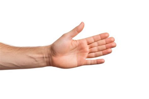 premium photo persons arm  tattoo   white  clear surface png