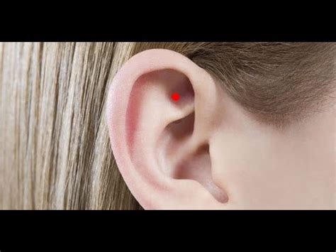 essential ear acupoints  shenmen spirit gate divine gate youtube