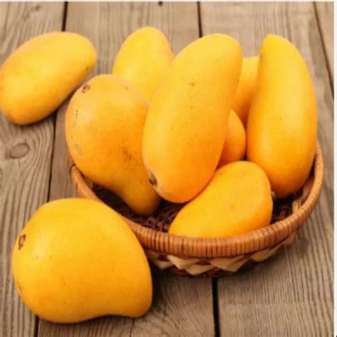 mangoes service providers  india