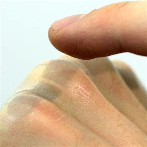 int lab  prof dr martin weigel