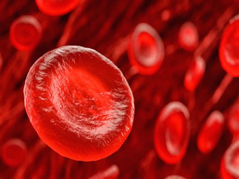 Why Should You Maintain Good Blood Circulation? – Sanguina