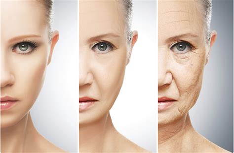 A Short Summary of Everything Science Knows On How To Avoid Ageing