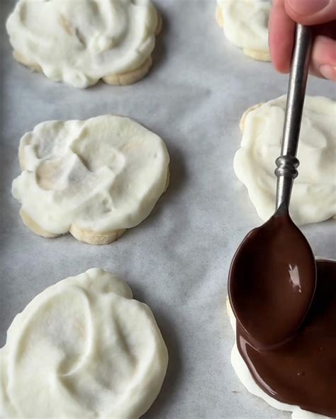 Zen Apollo | Washington D.C. DC