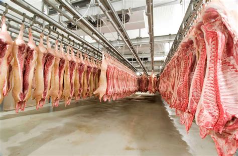 Meat industry Labour Agreement - Visa Envoy
