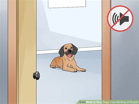 how to shut up barking dogs