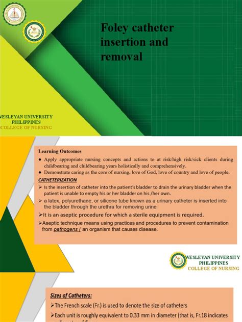 foley catheter insertion guide