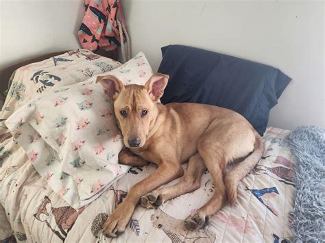 Homestead... - Homestead Rehabilitation and Health Care Center