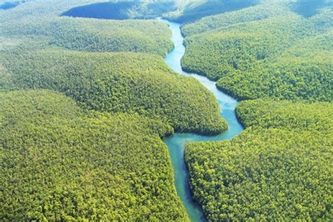 Relevo Da Regiao Norte - Região Norte - Estados, clima, relevo, vegetação e hidrografia