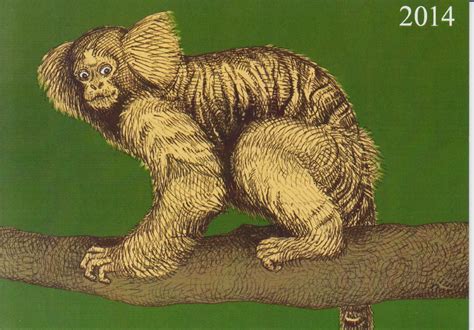 lu cie  lsc duite par les ouistitis