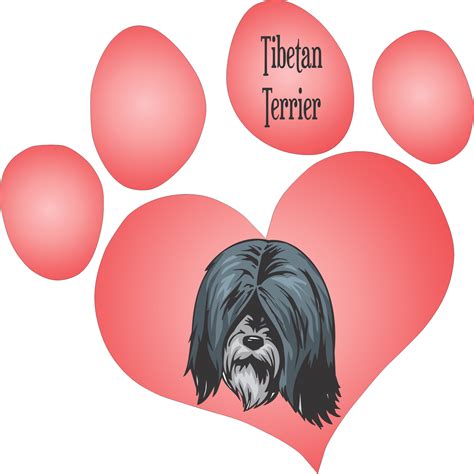 tibetian terrier dog decal