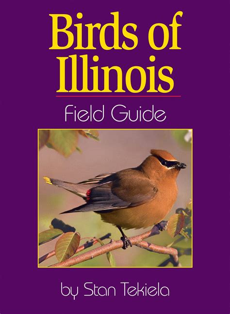 Birds Of Illinois 12