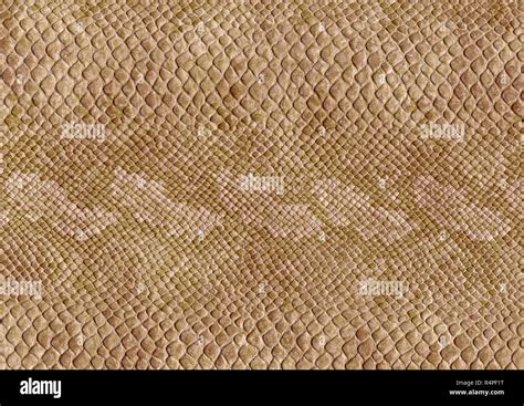 reptile skin surface Stock Photo - Alamy