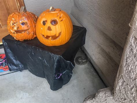 Trick or Treat, or Rattlesnake? Halloween caution for Arizona