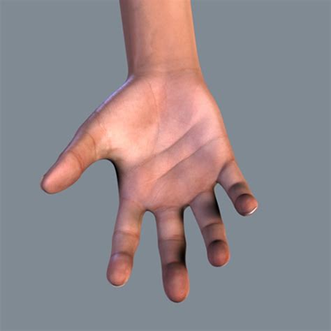 human hand modeled realistic  model