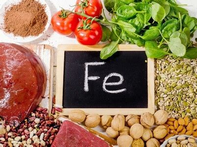Продукты, богатые железом - BIOHIMIK.NET