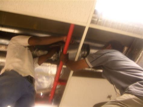 capalanggambars big red environmental