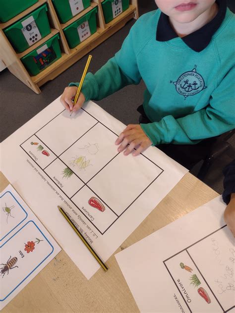 What do animals (including humans) eat? | Christopher Pickering Primary