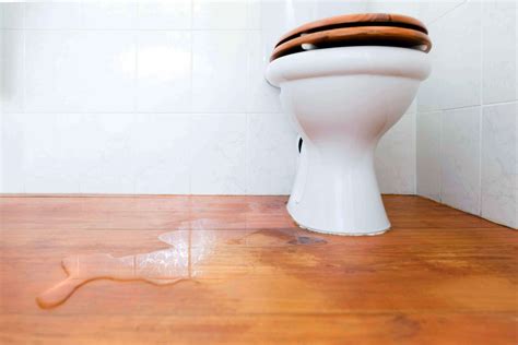 Toilet Leaking At Floor Level at Kellie Jackson blog