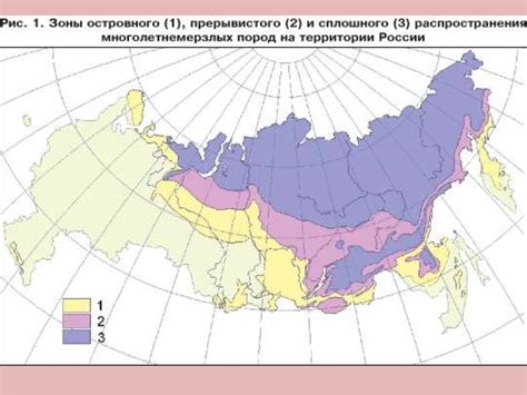Бореальный почвенно-биоклиматический пояс - презентация онлайн